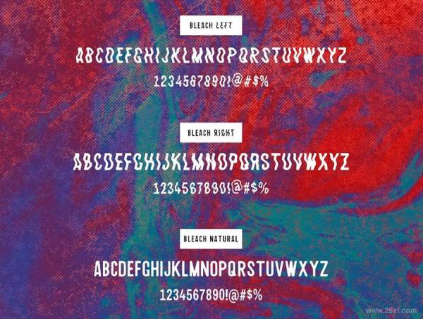 25xt-485052 BleachSans-SerifTypefacez4.jpg