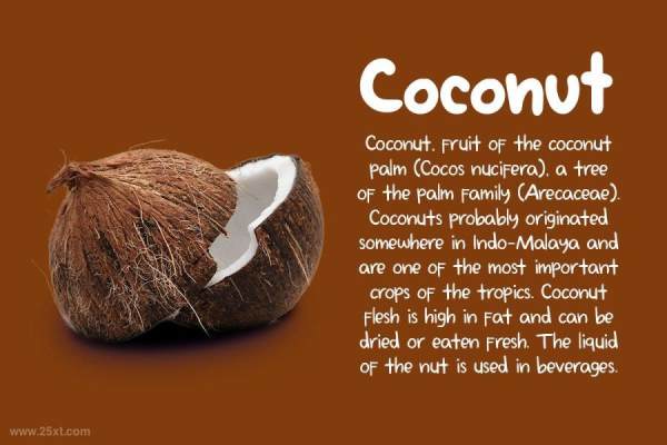 25xt-128273 Minakoz7.jpg