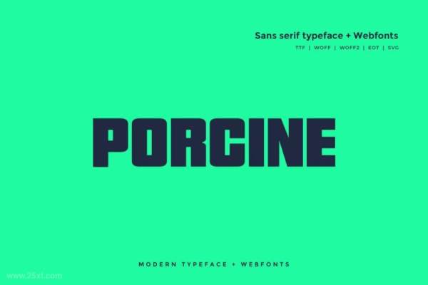 25xt-160619 Porcine-ModerntypefaceWebFontz2.jpg