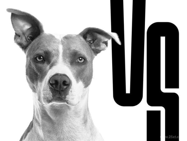 25xt-126728 Growthz9.jpg