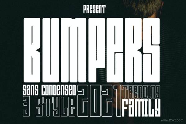 25xt-128175 Bumpersz2.jpg