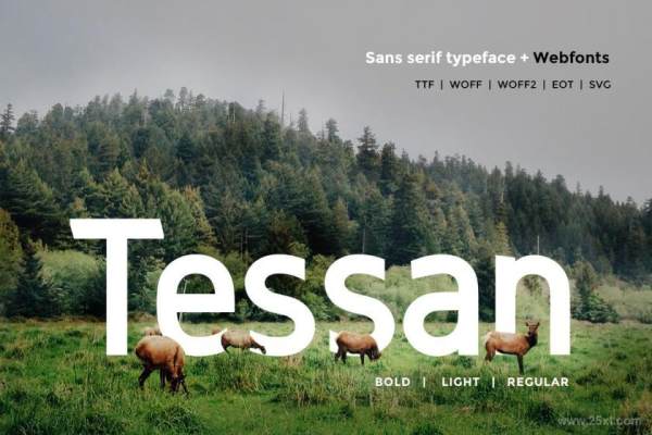 25xt-160624 TessanSans-ModernTypefaceWebFontz2.jpg