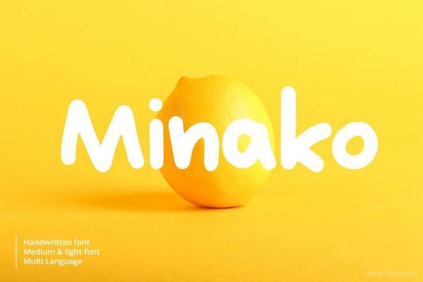 25xt-128273 Minakoz2.jpg