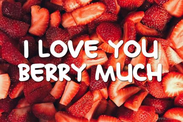 25xt-128273 Minakoz10.jpg