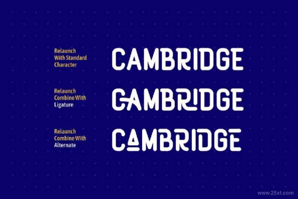 25xt-127218 Relaunchz9.jpg