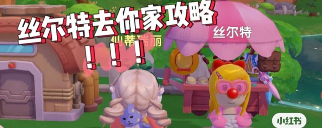 如何让丝尔特去你家爱兔仕宝藏干货分享！