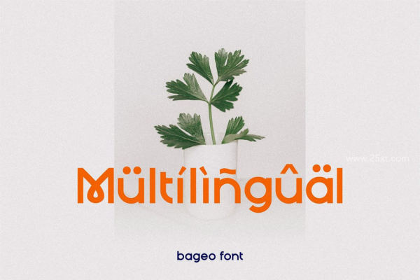 25xt-485292-Bageo-6.jpg