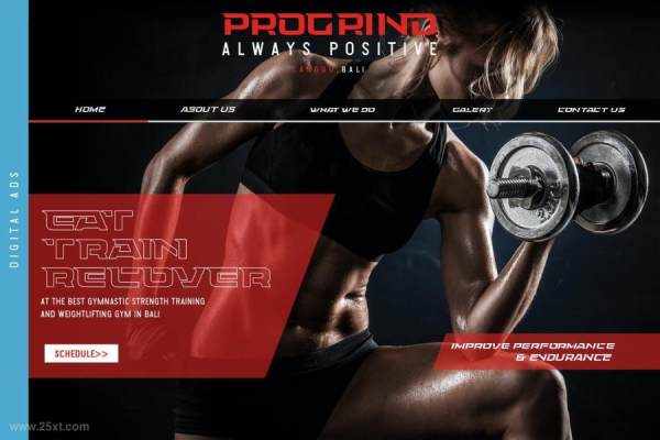 25xt-160258 Energizez8.jpg